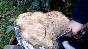 Victorinox тесты пилы, ножа, открывашек, отвертки в качестве  фомки. Нож Викторинокс Ranger Grip.