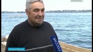 Браконьеры вытесняют сёмгу с Северной Двины