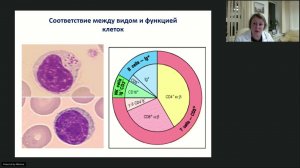 Диффузная B-клеточная лимфома (ДВКЛ). Онлайн-школа 01.11.2021