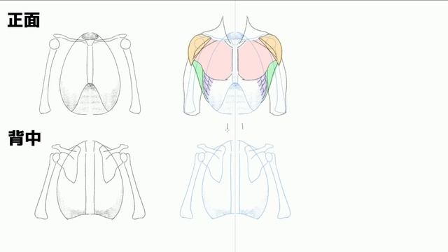 人物画はなぜこう描くとうまく描けるか？【かんたんクロッキーLV.1.1】