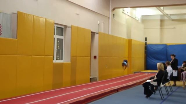 прыжки на АКД акробатической дорожке 2 взрослый разряд 8 лет