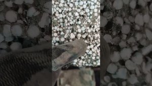 качество блоков D500