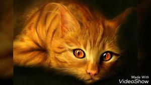 Киса Киса мяу мяу Киса Киса мур мур ( слайд-шоу )