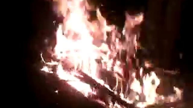 Лес и Костер смотреть онлайн