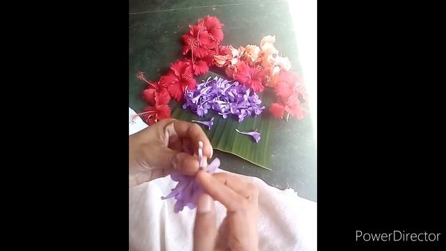 Garland making without Thread by Barleria Cristata смотреть онлайн