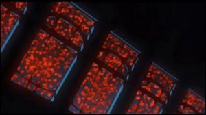 scatman ( s l o w e d +  r e v e r b )