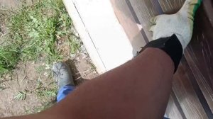 Красивый забор из металлосайдинга своими руками.