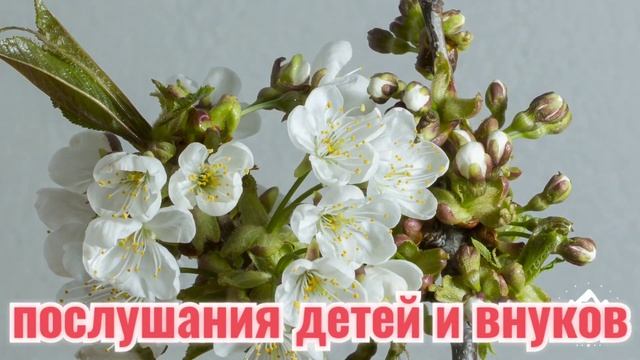 С первым днём весны  ! Весна пришла ! Песня ! Spring has come !