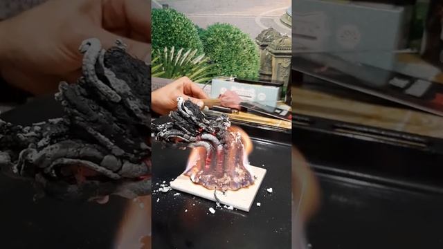 Эксперимент в коробочке. Фараонова змея или как вырастить дерево из огня!