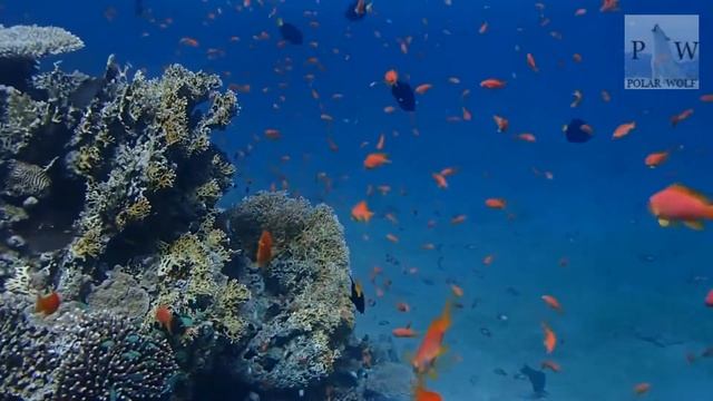 Гороскоп на завтра 21 июня 2020 года для всех знаков зодиака. Гороскоп на сегодня 21 июня 2020 года смотреть онлайн