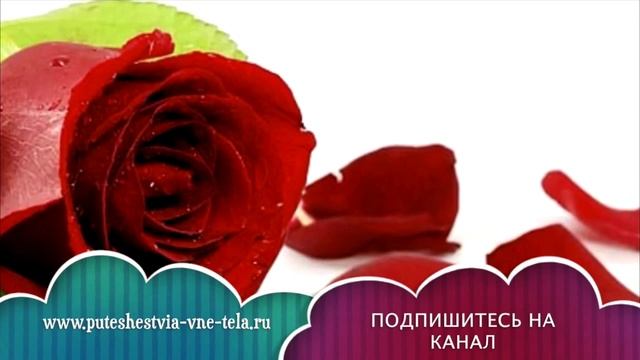 СОННИК - Розы