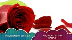 СОННИК - Розы