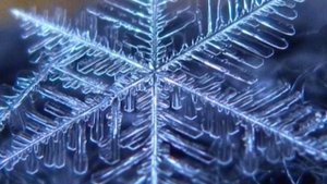 Небесные кристаллы: в чём уникальность снежинки и почему они никогда не бывают одинаковы?