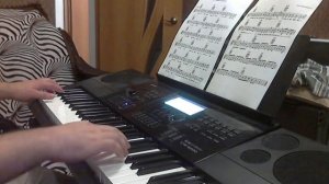 Медляк (MR. CREDO) на синтезаторе CASIO - CTK 6200