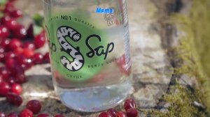 SIP SAP - березовый сок