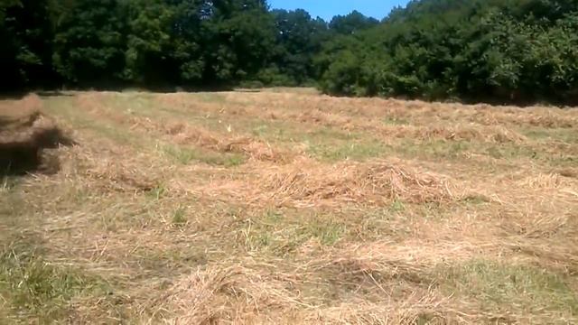 Прогулка вдоль канала . (Axo'plage Monampteuil) смотреть онлайн