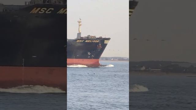 Chesapeake Bay VA #huge #gigantic #massive #badass   #containership #shipping #ship #container