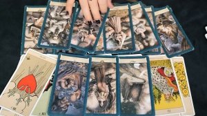 Ближайшее будущее // Вражина под непроглядом получает бумеранг // Соня Таро \\