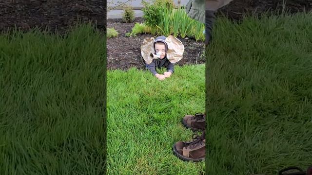 Savanna Biome Project смотреть онлайн