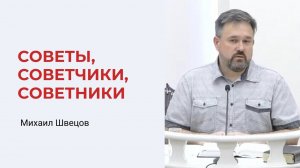 Михаил Швецов. Советы, советчики, советники (часть 1)