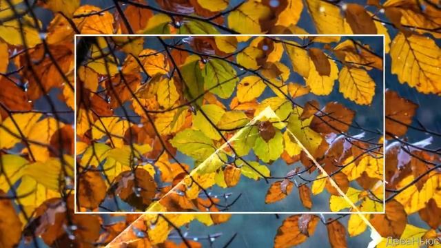 4 ноября-Казанская Божья матерь смотреть онлайн