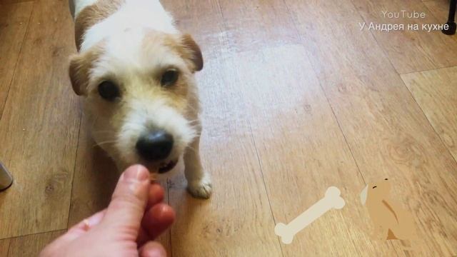 Кладу мясо в бутылку и получаю КОЛБАСУ! ПРОСТО до безобразия! Вкусная Домашняя КОЛБАСА! смотреть онлайн