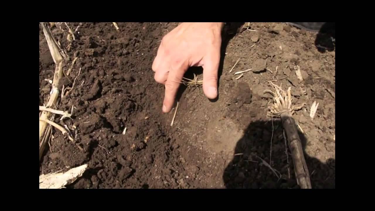 Пропашная сеялка СПМ-8 Велес-Агро(NO-TILL)Аналог JOHN DEERE