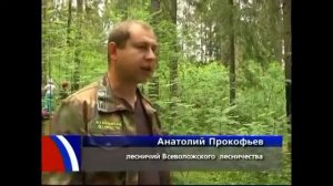 мерная вилка, высотомер