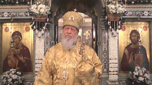 Никто из нас не умрёт. Епископ Августин