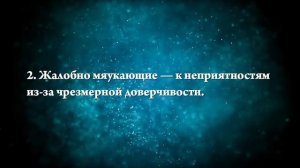 К чему снится больной котенок - Онлайн Сонник Эксперт