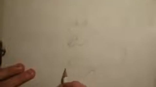 Лаборатория Рисования белку рисуем