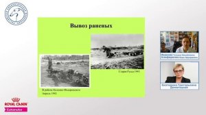 Наш бессмертный полк кинологи на войне «Ответственное собаководство онлайн»