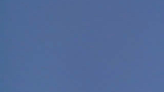 БУДАПЕШТСКИЕ ГОЛУБИ| Продажа по всей Украине смотреть онлайн