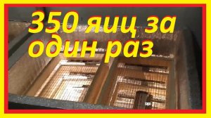 Инкубатор на 350 яиц своими руками / как сделать инкубатор для яиц своими руками?