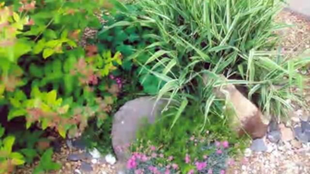 ландшафтный дизайн для начинающих смотреть онлайн