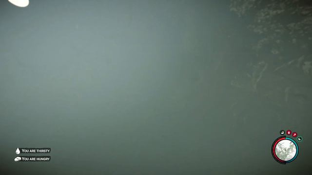 Timmy wins Underwater Boss Fight | Sons of the Forest Glitch