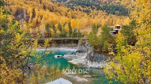 ЗОЛОТАЯ ОСЕНЬ на Алтае