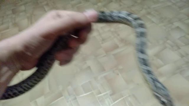 Змея антистресс смотреть онлайн