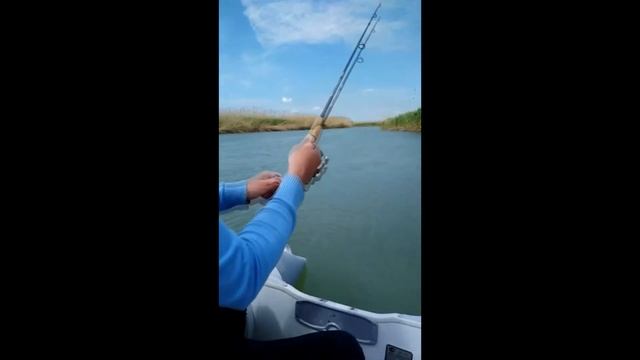 Маныч , рыбалка на Маныче,  май 2017