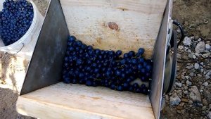 Дробилка для винограда своими руками