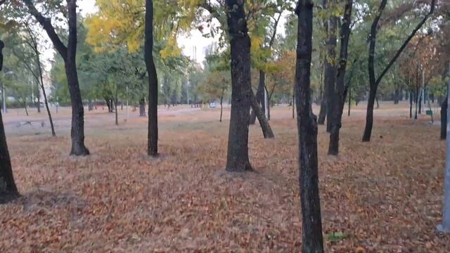 Как не отвлекаться от Бога во время войны? Утрение размышления 11.10.23 смотреть онлайн