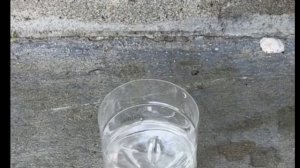 Как Укоренить листья ГЕРБЕРЫ с помощью витамина С #просто #flower