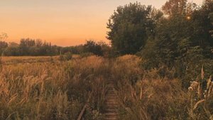 Эстетичные фоны природы для видео//15 шт.💗🌸   By: Milly