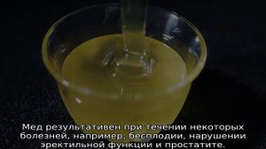 Акациевый мед