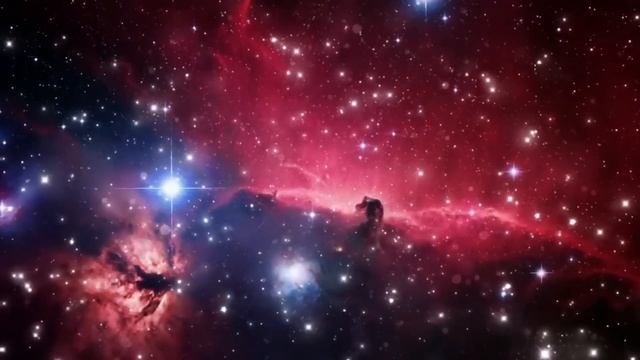 Лярвы и борьба с ними. Как мысли овладевают человеком