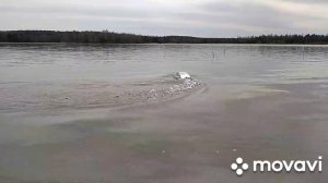 Катер на радиоуправлении ft 016...спуск на воду!