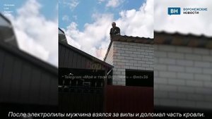Соседские войны в микрорайоне в Воронеже