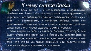 К чему снятся Блохи (Сонник)