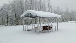 11 Первое снежное видео в новом году.mp4