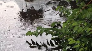 спокойная музыка для сна с красивыми пейзажами